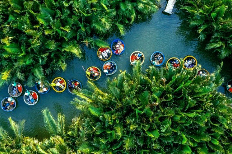 Bay Mau Coconut Forest from above, covered in lush coconut palms