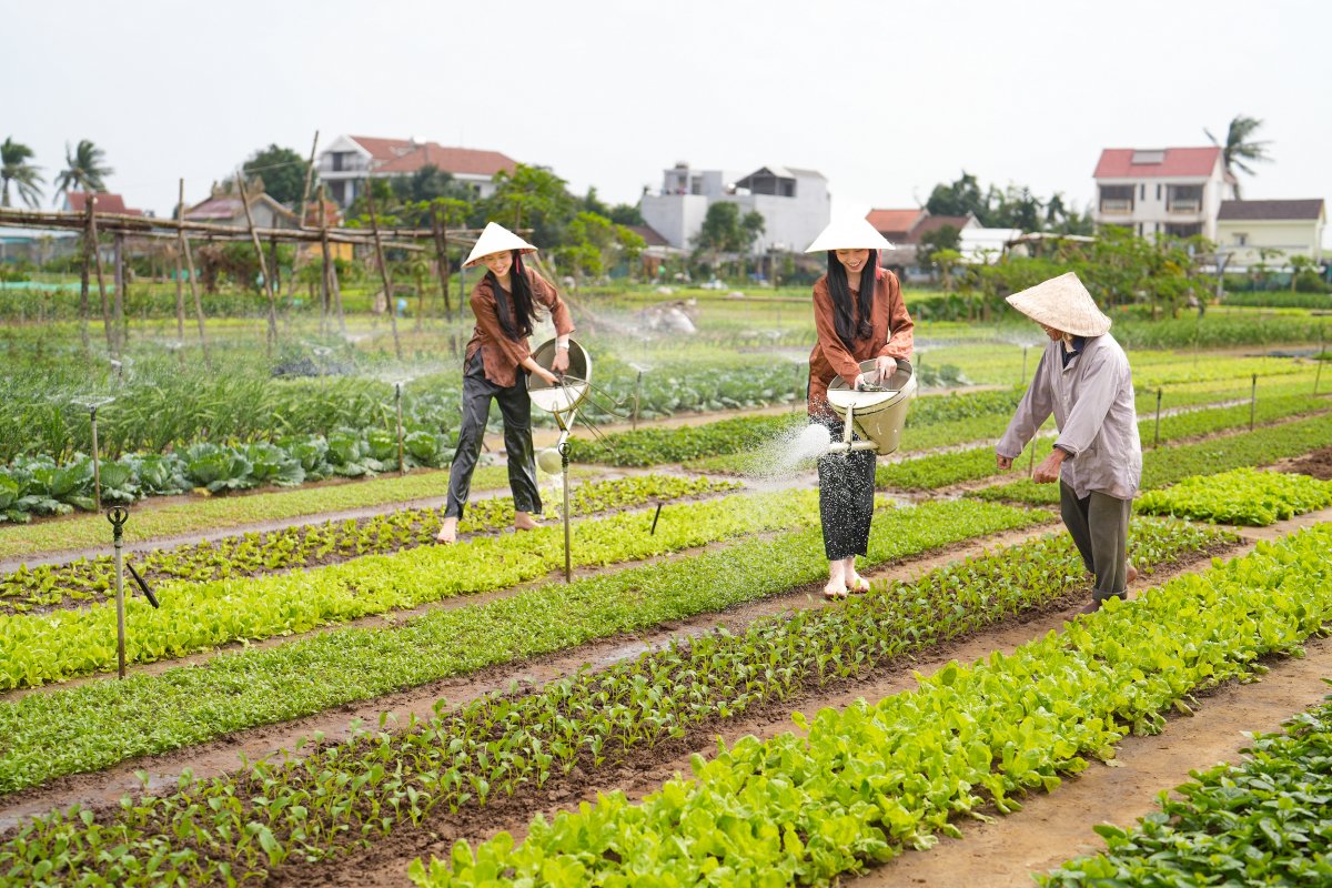 Experiencing gardening activities at Tra Que Vegetable Village